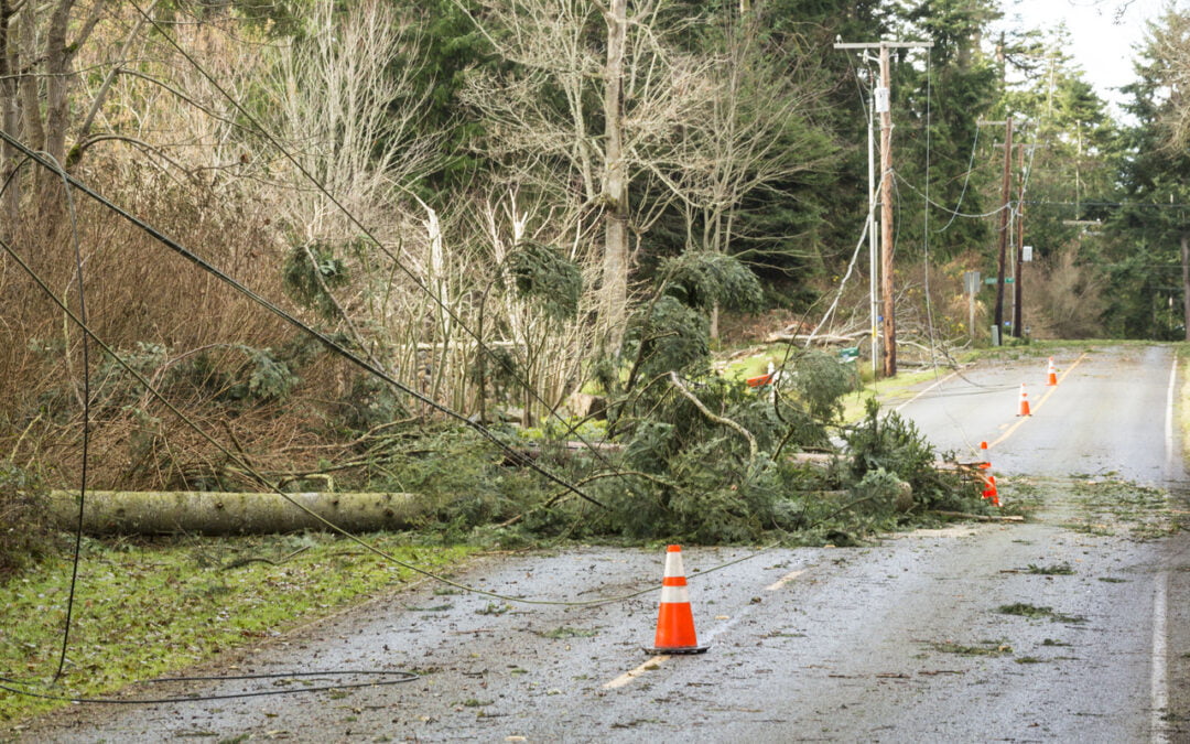 Fixing Surging Power Outages Caused by Fallen Trees/Branches